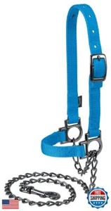Weaver Leather Livestock Nylon Adjustable Sheep Halter with Chain Lead, Blue - Picture 1 of 1