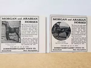 1914 Morgan & Arabian Horses Greenfield NH Dormoykerryganset Fotodruck ADS (2) - Bild 1 von 1