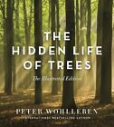 The Hidden Life of Trees: The Illustrated Edition (David Suzuki Institute), Wohl