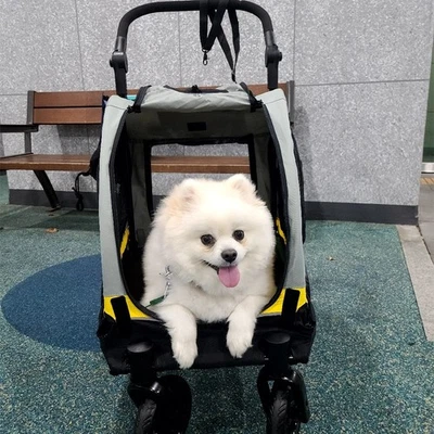 Haustier Buggy Hundebuggy Tierwagen Haustierwagen für Kleintier Katzenbuggy DHL - Bild 1 von 4
