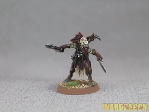 Warhammer 40K WDS painted T'AU EMPIRE KROOT FLESH SHAPE a74 - Picture 1 of 6