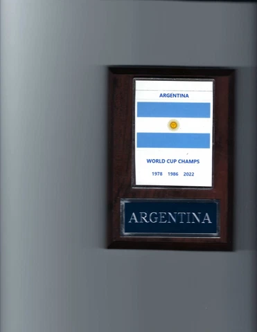 ARGENTINA PLAQUE SOCCER WORLD CUP CHAMPS Cover