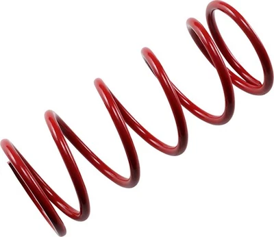 Embrague EPI Secundario Accionado Muelle-RER-Rojo para 2015 Ski-Doo MX Z X E-TEC 600 HO Foto 1 de 2