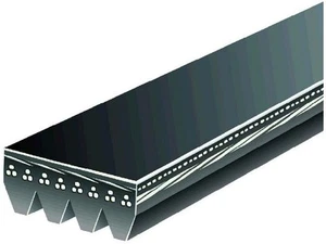 Multi Rib Belt For 1990-1994, 1999-2003 Mazda Protege 2000 1991 1992 NR356GR - Picture 1 of 1