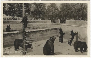 Bears Play in Bern Switzerland Zoo Park 1932 Vintage Swiss Animal Postcard - Picture 1 of 2
