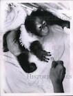1963 Press Photo Gi-Gi reaches for a cookie in Cleveland Zoo - ned07649