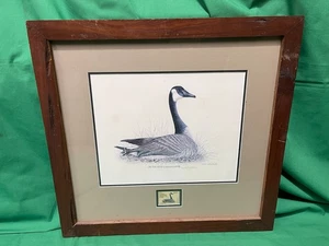 1977 Illinois Ente Briefmarke gerahmter Druck auf der nächsten Canada Goose Dick Lynch - Bild 1 von 3