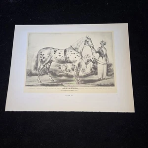 Pferderennen Alexander Forellenangeln Currier & Ives 9×12 Buchdruck 2seitig - Bild 1 von 2