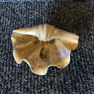 VINTAGE BRASS FOOTED SEASHELL CLAM SHELL ASHTRAY 5.5" x 4" x 2" - Picture 1 of 7