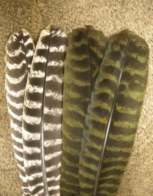 1 PAIR OZARK BARRED TURKEY QUILLS Nature's Spirit Fly Tying Feathers - Image 1 of 2