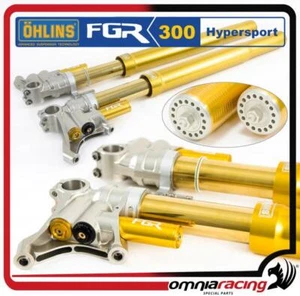 Ohlins FGR300 SBK 750mm Front Fork+TTX25 Cartridges Official World Superbike - Picture 1 of 3