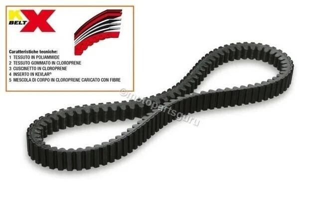 840908 OEM 6115666 Malossi correa de transmisión V Vespa GT200 Granturismo 2006-2008 Foto 1 de 1