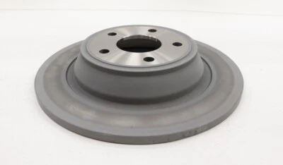 NEW Motorcraft Disc Brake Rotor Rear BRRF-119 Ford Fusion 2013-2016 - Imagem 1 de 4