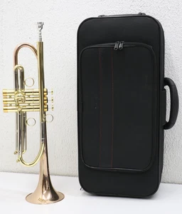 Yamaha YTR-8335RG Trumpet W/ Soft Case - Gold/ Rose Gold - Picture 1 of 17