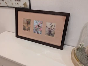Art: Cecily Mary Barker. Flower Fairies. Framed vintage picture art - Picture 1 of 10