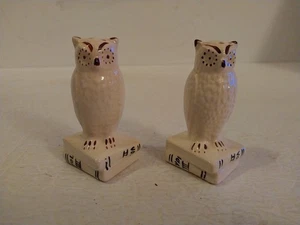 Gufi bianchi in piedi su libri, sale e pepe shaker porcellana               - Foto 1 di 6