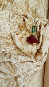 GOLD WAVES Rosette Satin Fabric – Sold By The Yard Floral Flowers Satin Decor - Picture 1 of 4