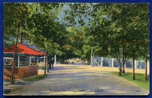 Dallas Texas Marsalis Zoo entrance linen postcard - Picture 1 of 2