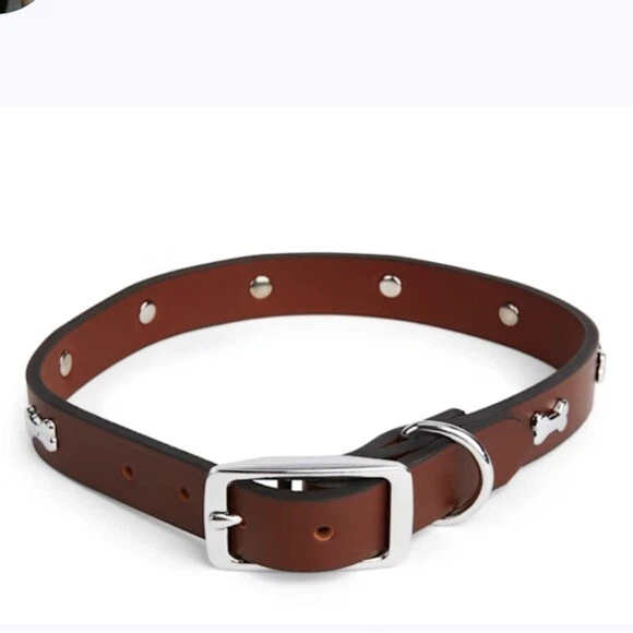 Leather Dog Collar With Bone Stud & Silver Buckle - Adjustable Puppy Pet Collar By B&C