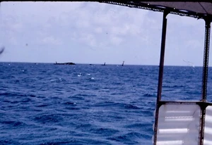 Farbdia Kodachrome Reise aufs Meer - Florida - 1962 - # 8 - Bild 1 von 1