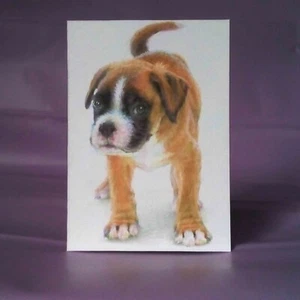 German Boxer Puppy Dog Drawing ACEO ATC Original Art Colored Pencils Artwork - Picture 1 of 3