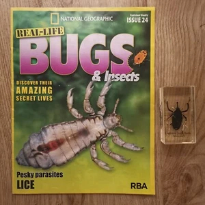 National Geographic Real Life Bugs & Insects #24 Long Nose Jungle Beetle - Picture 1 of 3