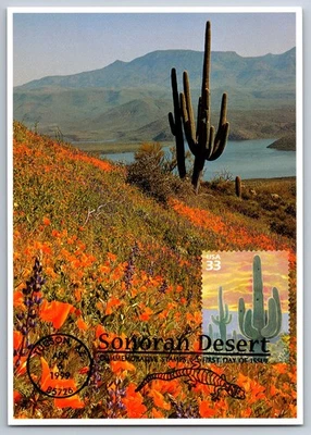 #3293e Sonoran Desert Saguaro Cactus FDC Maxi Card w/Pictorial Cancel - Image 1 of 2