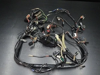 Rare 100%Work Buell 08-10 XB12R Firebolt OEM Main Engine Wire Harness Wiring - Изображение 1 из 4