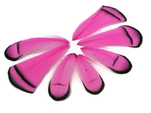 1 Dozen Hot Pink Lady Amherst Pheasant Tippet Feathers USA Seller Craft Jewelry - Picture 1 of 10