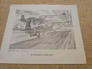 2 aerei mustang fighter p-51 stampati nella foto firmati da geoff pleasance - Foto 1 di 5