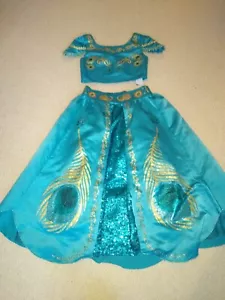Stunning Luxury Princess Jasmine Costume Disney Store Age 5-6 Yrs - Picture 1 of 12