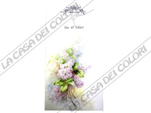 SONIE AMES - SCHEDA PITTURA PORCELLANA - PAINTING STUDY - NR 47 LILLA' - Picture 1 of 1