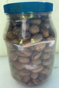 Pecans In Shell ~ 2024 Crop - 2 Pounds - Picture 1 of 1