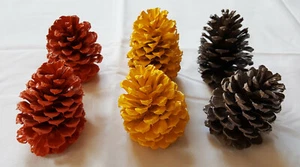 Lot of 6 Medium 3.5-4 inch Fall Color Pinecones for decoration crafts etc - Picture 1 of 5