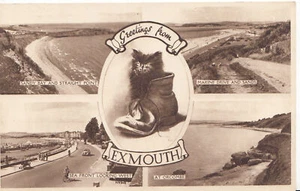 Devon Postcard - Greetings From Exmouth    DD155 - Picture 1 of 1