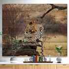 Designart 'Leopard Sitting On Tree Trunk' African Print On  Small