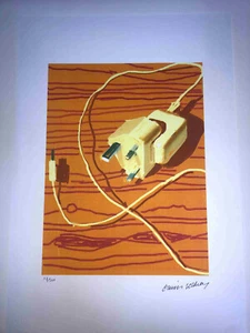 David Hockney Lithography off set cm 50x35 Signature on plate with certificate - Picture 1 of 5