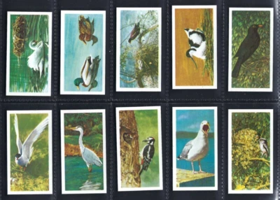 BROOKE BOND - BRITISH BIRDS - FULL SET OF 20 CARDS - Image 1 of 4