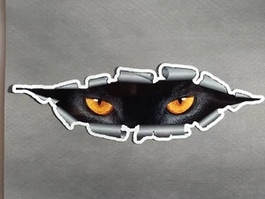9" x 3" Cat Eyes Vinyl Decal Sticker - Picture 1 of 1