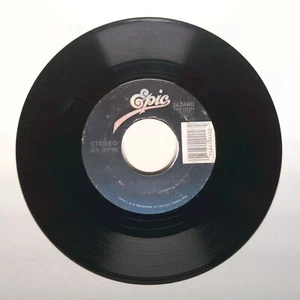 Merle Haggard - If You Hated Me; Someday When Things Are Good - Vinyl 45 RPM 7" - Foto 1 di 2