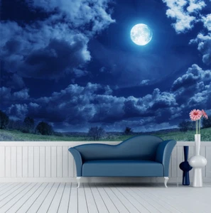 3D Moon Cloud Meadow 1 Wall Paper Murals Wall Print Wall Wallpaper Mural AU Kyra - Picture 1 of 6