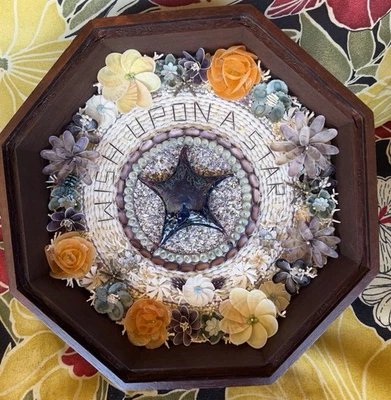 Sailor Valentine 10” Nuevo Envío Gratis “Wish Upon a Star” Sailor Valentine Foto 1 de 4