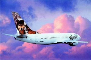 Postcard Airline Frontier Airlines fleet B737-300 Jet N304FL #652 AP1. - Picture 1 of 2