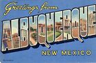 ALBUQUERQUE NM - Greetings From Albuquerque (1950) Large Letter Linen Postcard