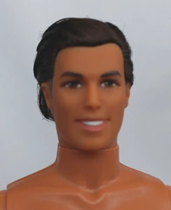 Ken Enraizado Cabello Marrón Ojos Marrones Solo DBox4 ÚNICO Muñeca Barbie Amiga Doctora Desnuda - Imagen 1 de 6