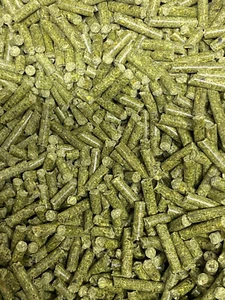 LG PLECO Veggie Stick all around food, BRISTLENOSE, CORY TROPICAL FISH FOOD 100g - Picture 1 of 3