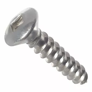 # 6 Tornillos de chapa de chapa de cabeza ovalada de acero inoxidable Unidad cuadrada de todos los tamaños - Imagen 1 de 41