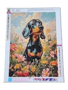 Finished Diamond Painting -Dog, Dachshund in Flower Field - Picture 1 of 3
