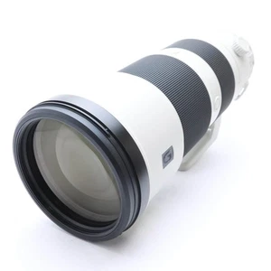 SONY FE 200-600mm F/5.6-6.3 G OSS SEL200600G (for SONY E mount) #337 - Picture 1 of 12
