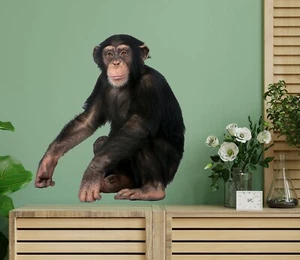 3D Chimpanzee G556 Animal Wallpaper Mural Poster Wall Stickers Decal Honey - Picture 1 of 6